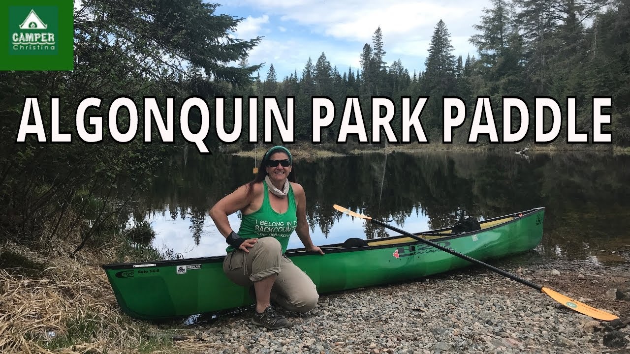 ALGONQUIN PARK PADDLE | Lake of Two Rivers to Whitefish | Lots of Bugs No Headnet