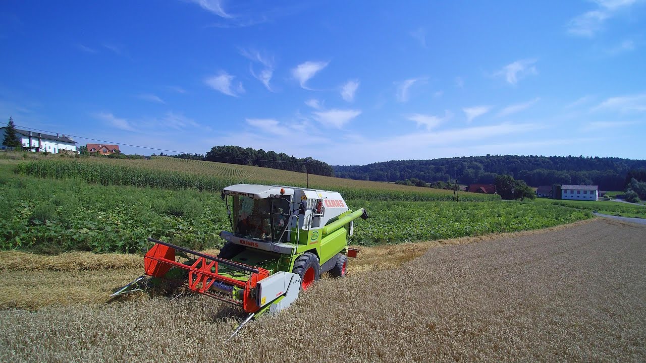 Weizenernte mit CLAAS Medion