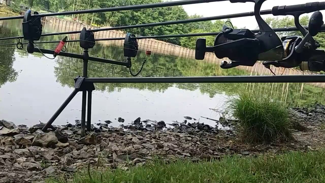 Peche a la carpeDépart en direct