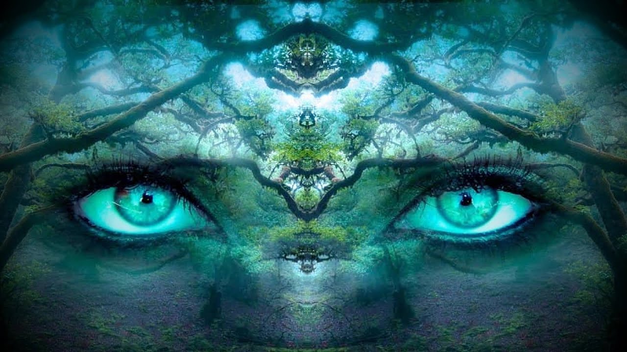 Reincarnation