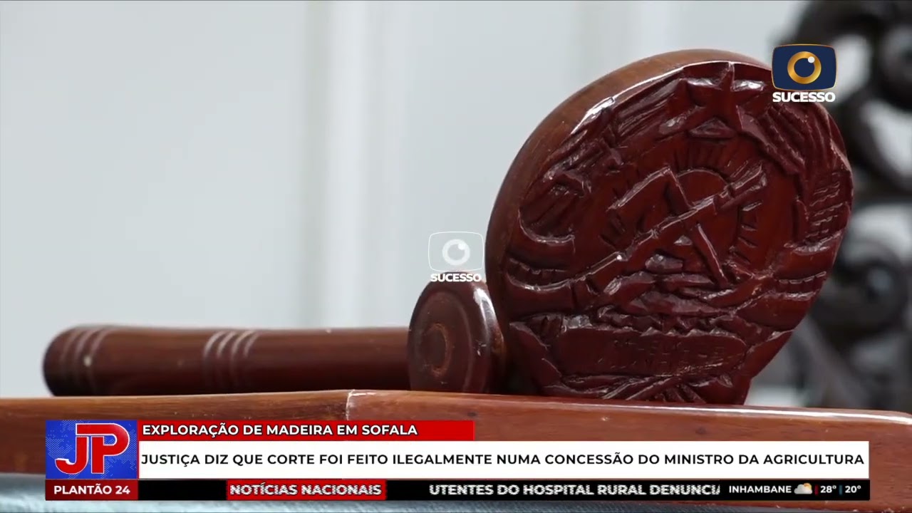 PROCURADORIA ACUSA MINISTRO DA AGRICULTURA DE ORDENAR O ABATE ILEGAL DE MADEIRA