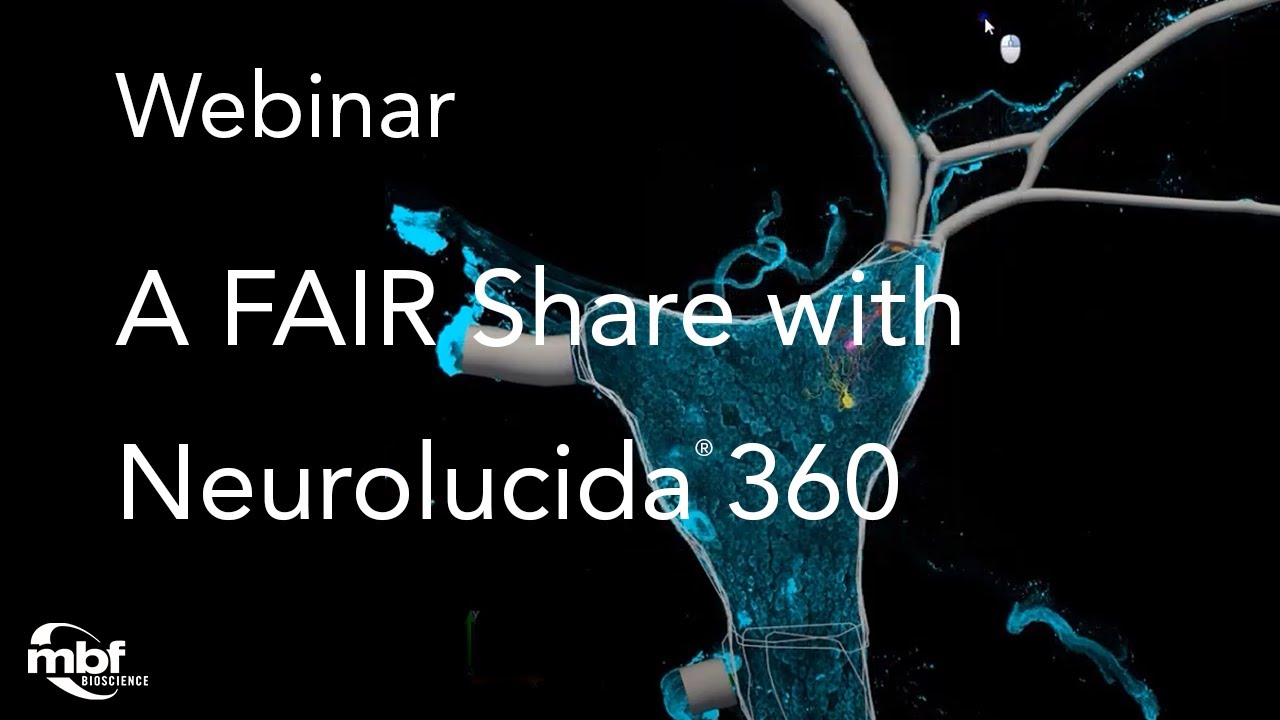 Webinar: A Fair Share — How to Use Neurolucida 360 to Annotate Image Data with Curated Vocabularies