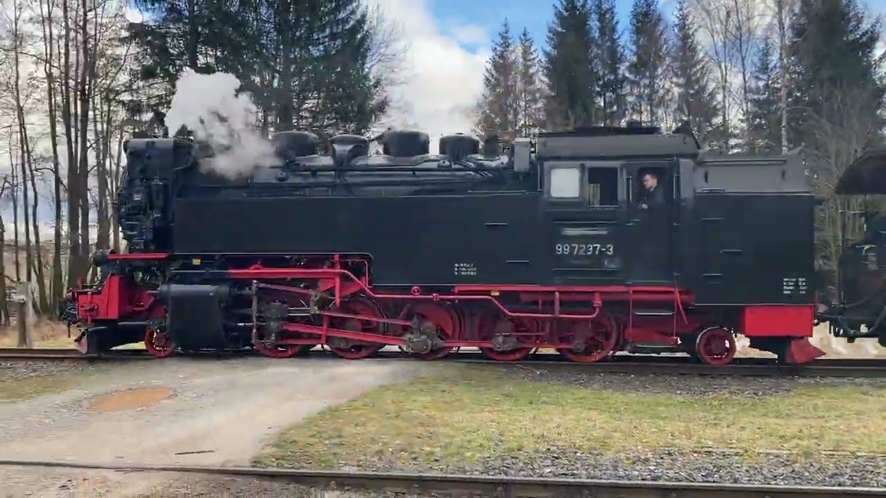 Harz 03-2024 - Wernigerode en Drei Annen Hohne