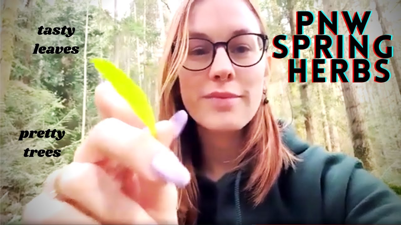 Pacific Northwest Early Spring Forest Herb Walk (Edible Plants!)