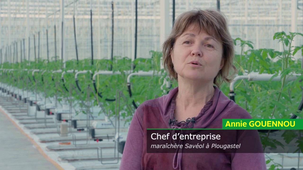 A la SCEA Serres de l'Elorn, le travail c'est la santé !