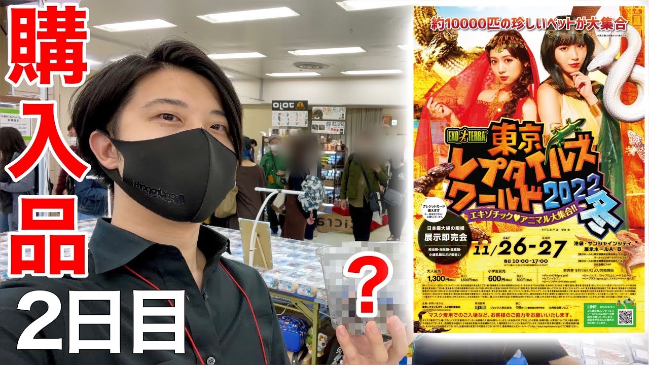 お洒落ブラックナイト？赤いニシアフ？東レプ2日目の購入品など色々お見せします【爬虫類イベント】