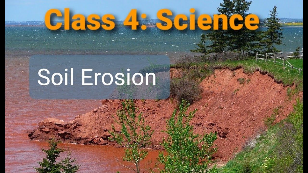 Soil Erosion | Class 4 | Science