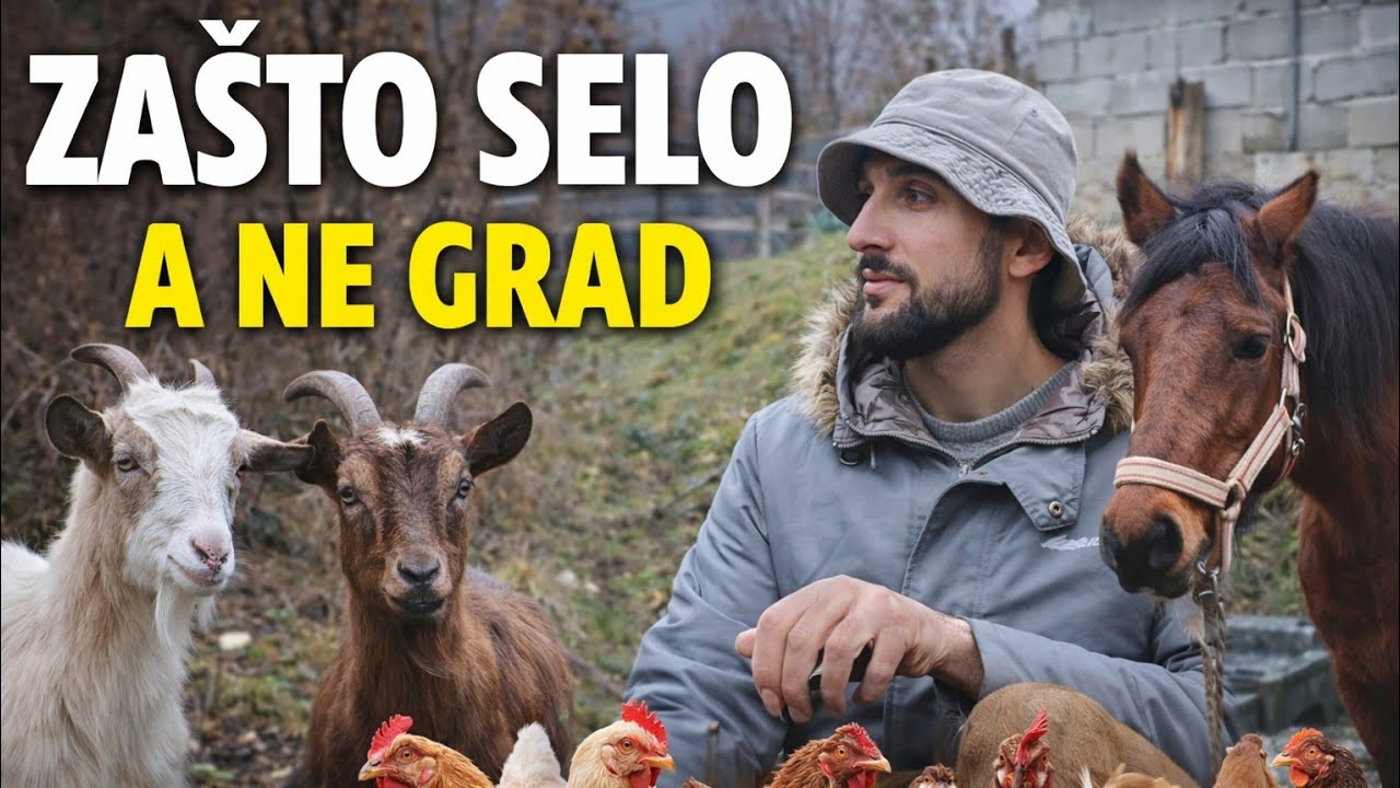 Ljudi mi se smiju zbog sela – ali ja spavam mirno / Zašto sam izabrao koze, kokoši i selo..