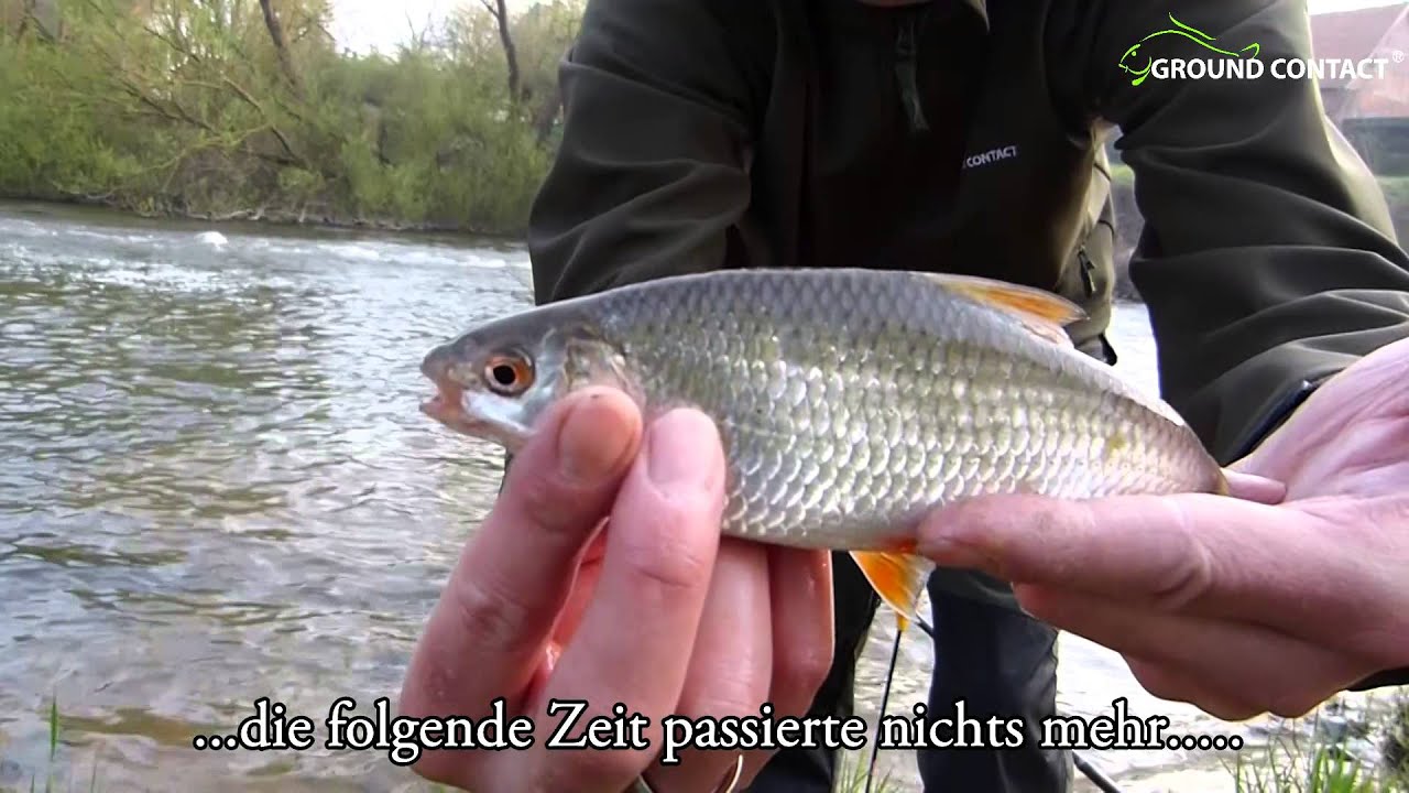 JENZI 2014 - Stipp- und Grundfischen auf Weißfisch am Fluss (full-hd)