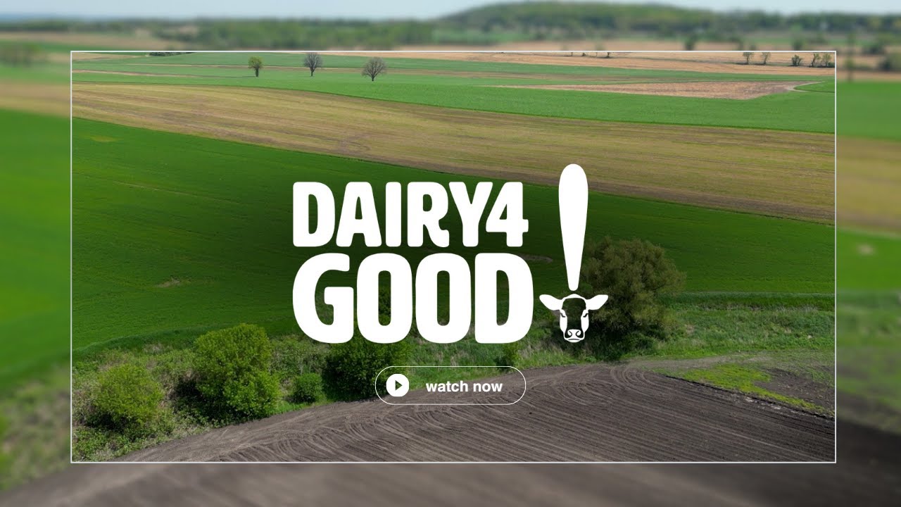 How the Dairy Industry Works Towards Sustainability Every Day