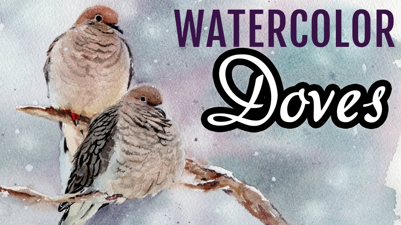 Watercolor Bird Painting Mourning Dove Step by Step Tutorial