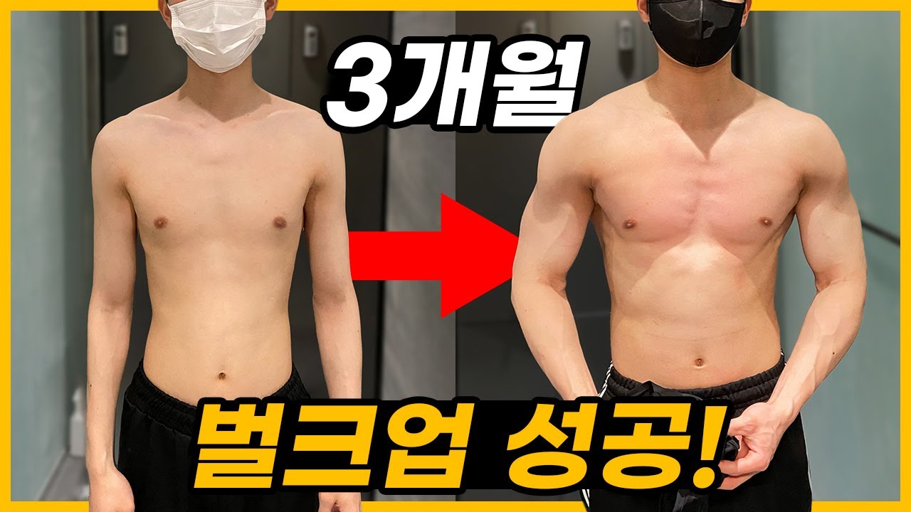 벌크업 루틴&식단 공개 | 메루치성공사례