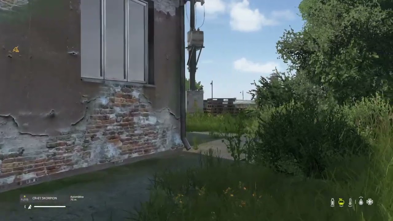 DayZ_20260309211740