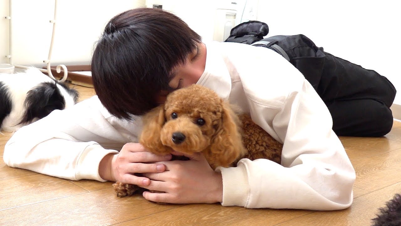 犬と触れ合って仲良くなりたい！と思ったらハプニングが起きまくった