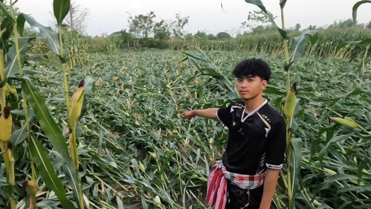 ธรรมชาติโหด เหมือนไปโกรธอะไรมา