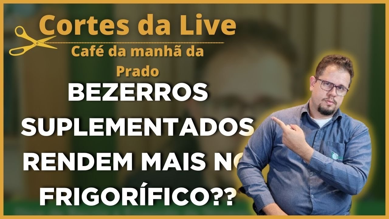 Como AUMENTAR o RENDIMENTO DE CARCA&Ccedil;A do BEZERRO?