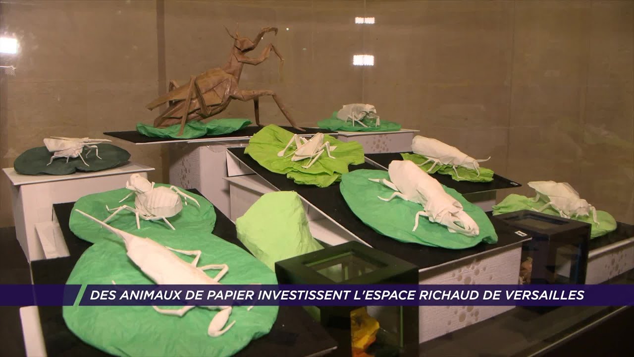 Des animaux de papier investissent l’Espace Richaud de Versailles