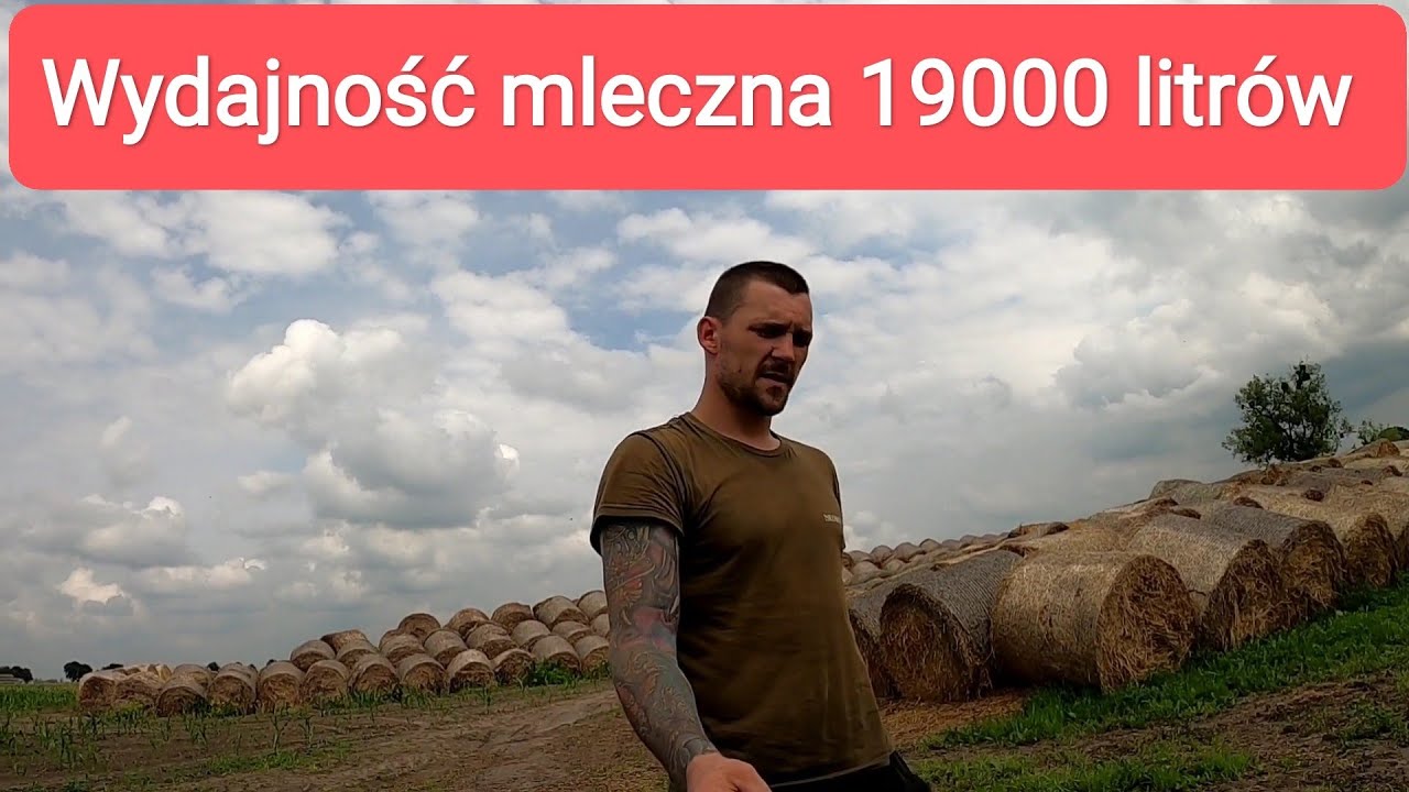 Wydajność Mleczna Stada 17-19 tys @fitfarmer