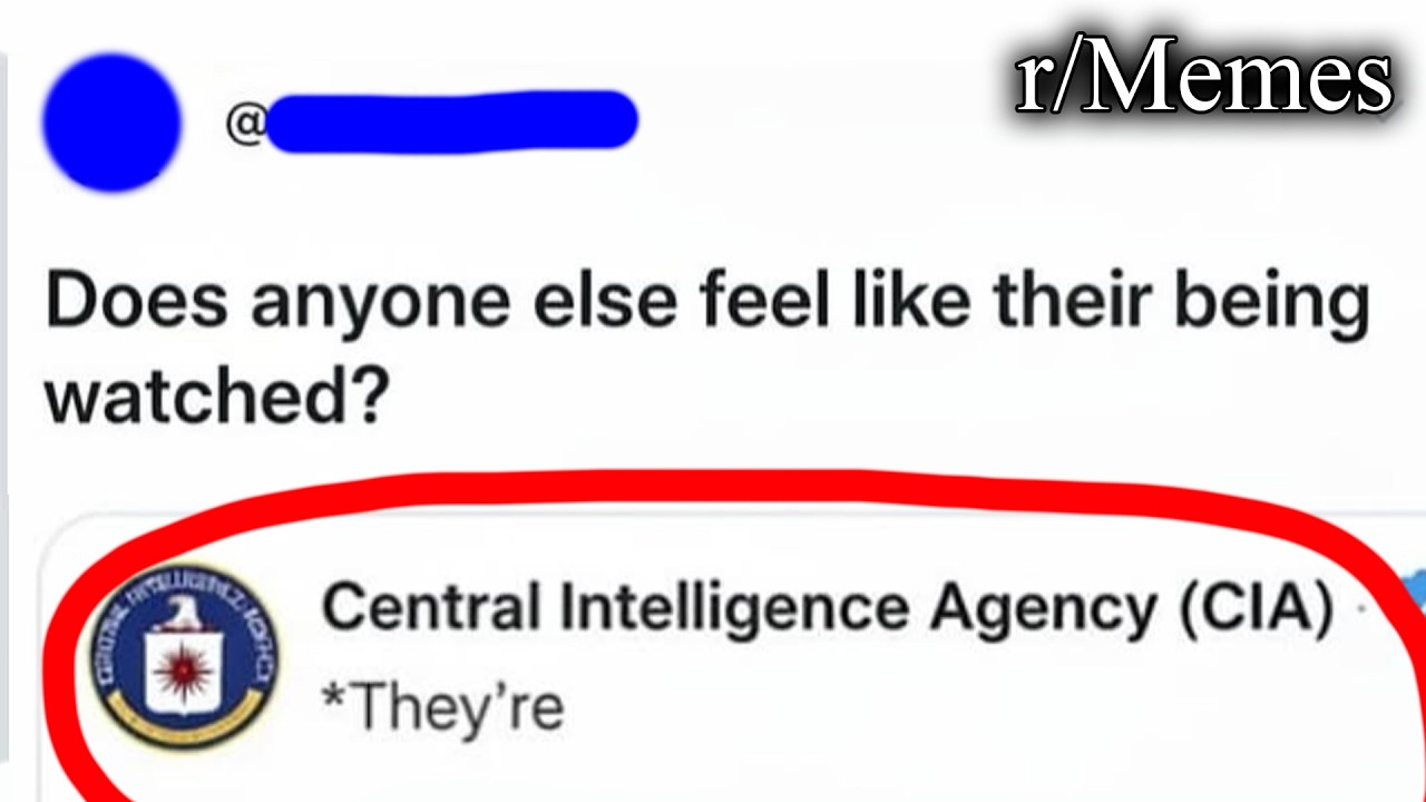 r/Memes | they're*