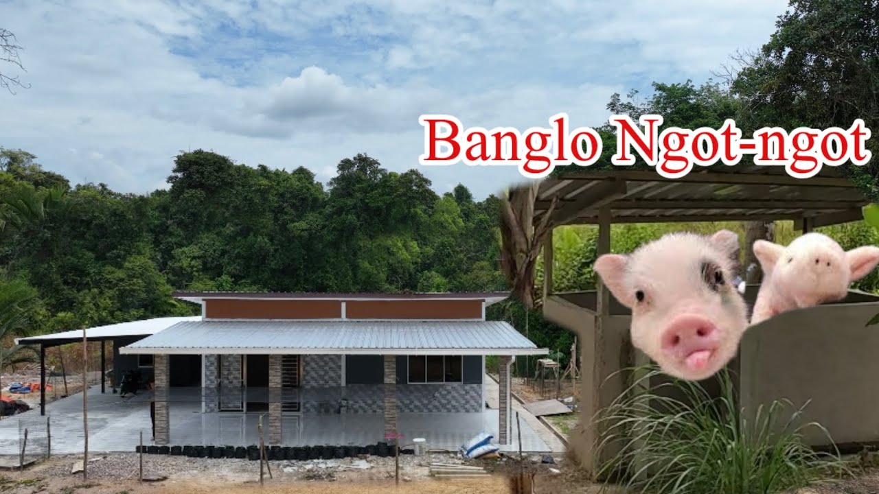 Jum Melawat Rumah Di Kawasan Kebun Yang Hampir Siap //Beli Anak Bab1