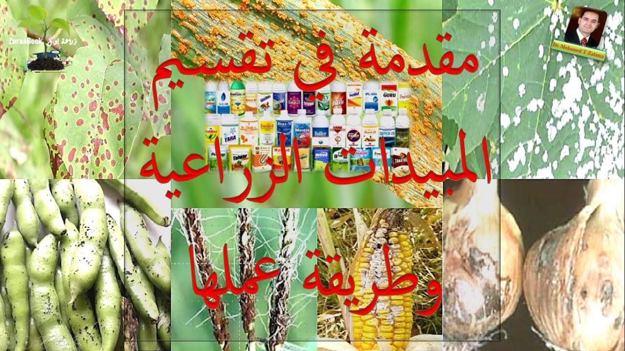 #تقسيم_المبيدات_الكيميائية_الزراعية_وطريقة_عملها