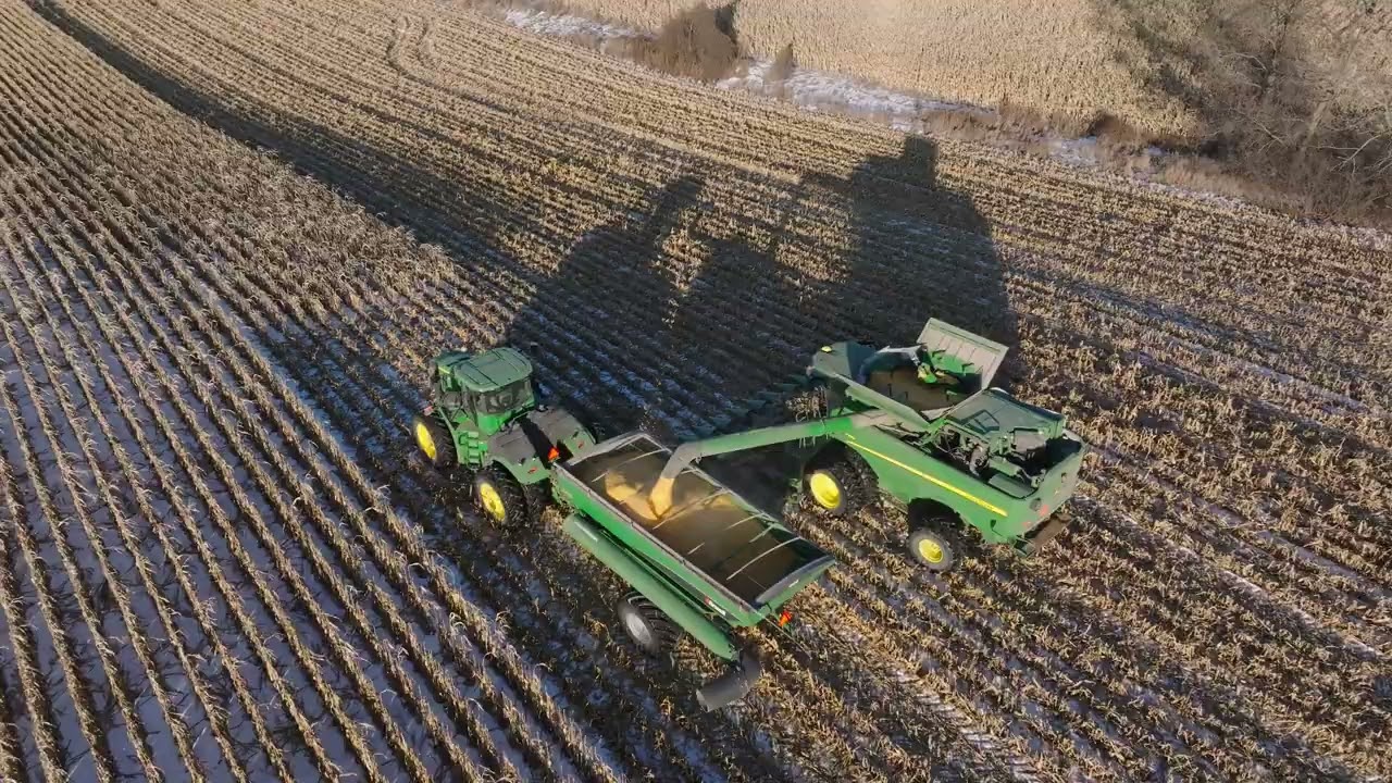 HARVESTING DEC 24 2025 AT A NEWMARKET, ONTARIO, CANADIAN FARM