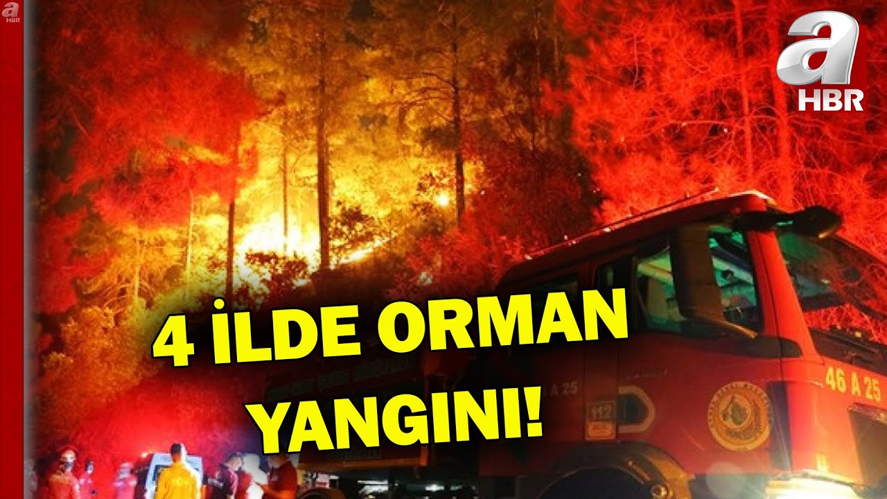 4 İlde Orman Yangını! 35 Dekar Alan Zarar Gördü! | A Haber