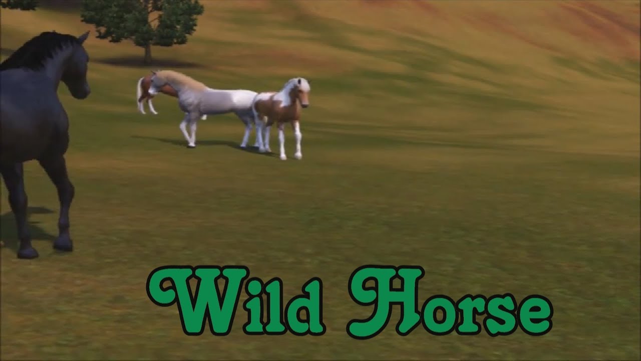 Wild Horse ~ Fanmade