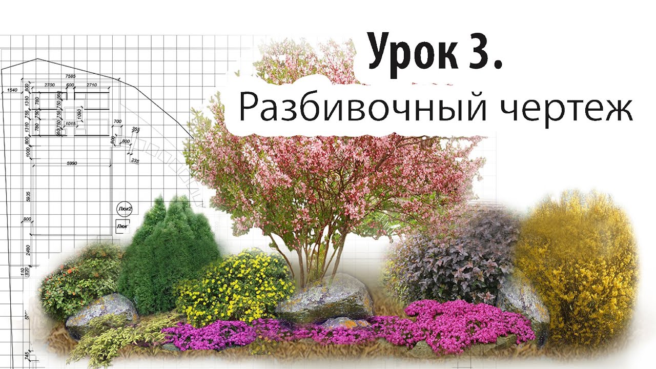 Урок 3  Разбивочный чертеж. Ландшафтный дизайн ( autocad )