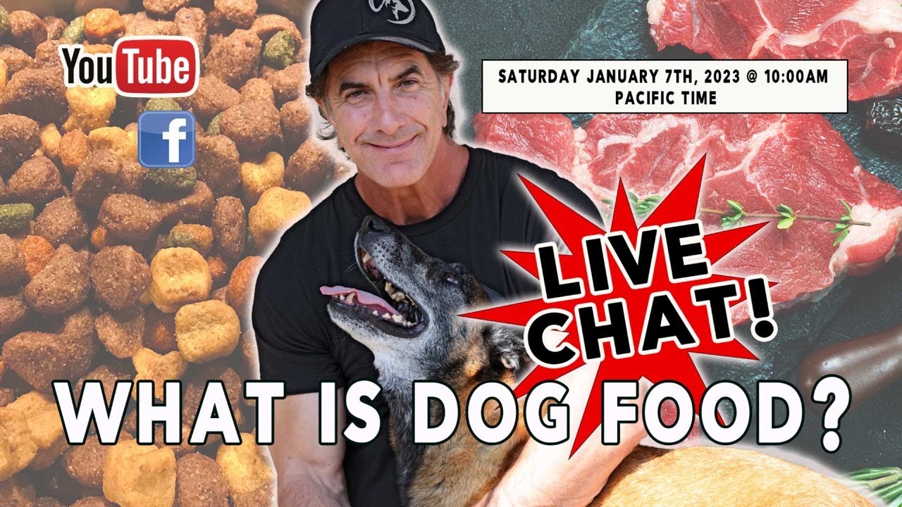 What is Dog Food?  What are You Feeding Your Dog?