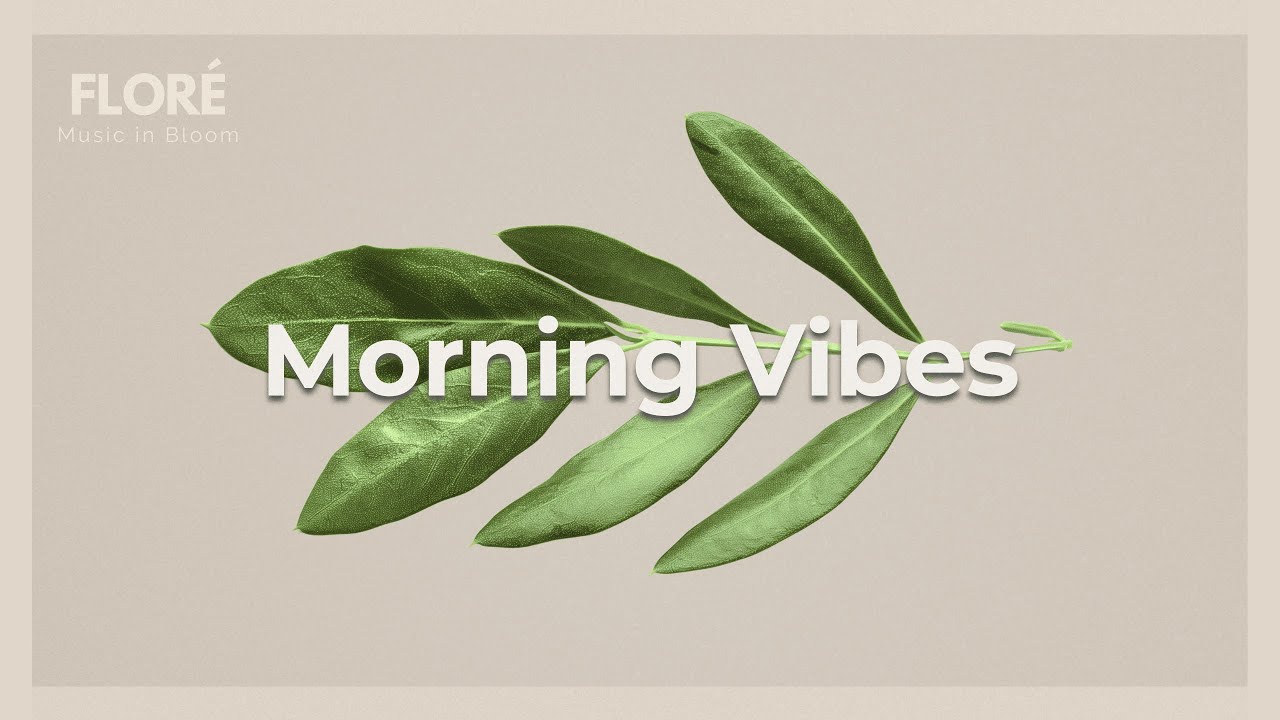 Morning Vibes ☀️ Chill House Radio | Calm & Positive Music 24/7