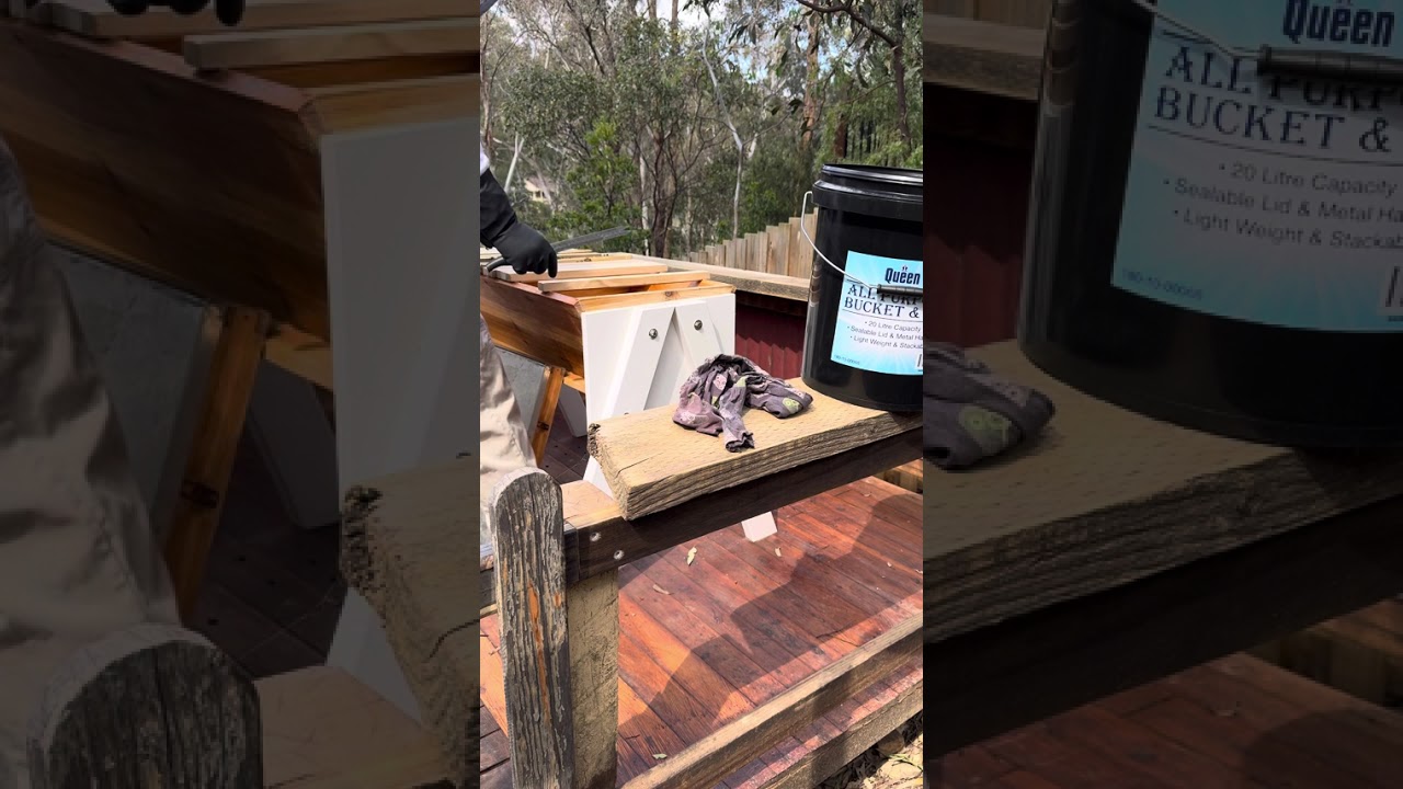 29 October - Kenyan Top Bar Hive Inspection