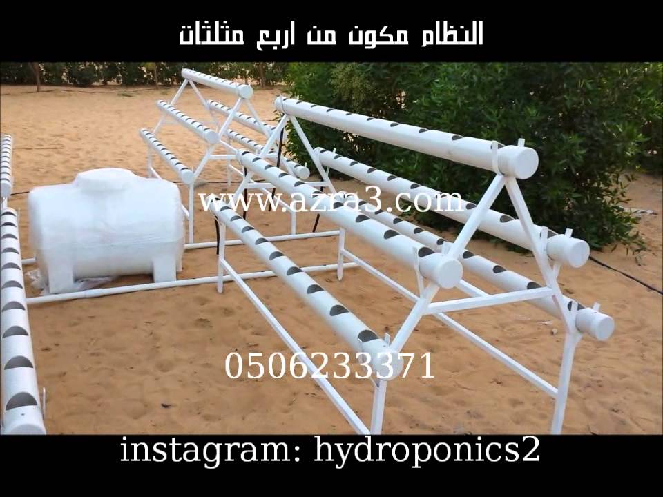 الزراعة المائية في الامارات مشروع زرعي