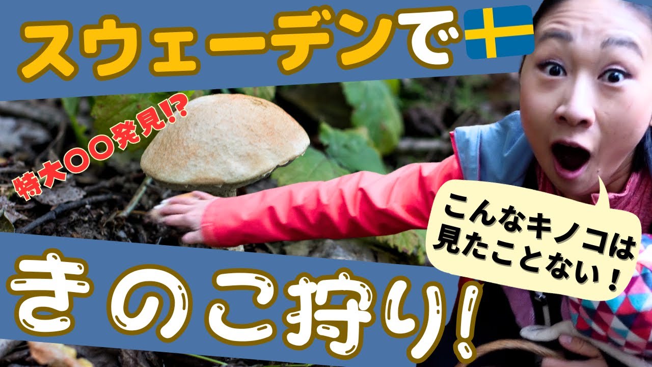 北欧の森で大興奮|スウェーデンで本気のきのこ狩り&実食|なぜかお笑い風Vlog😆