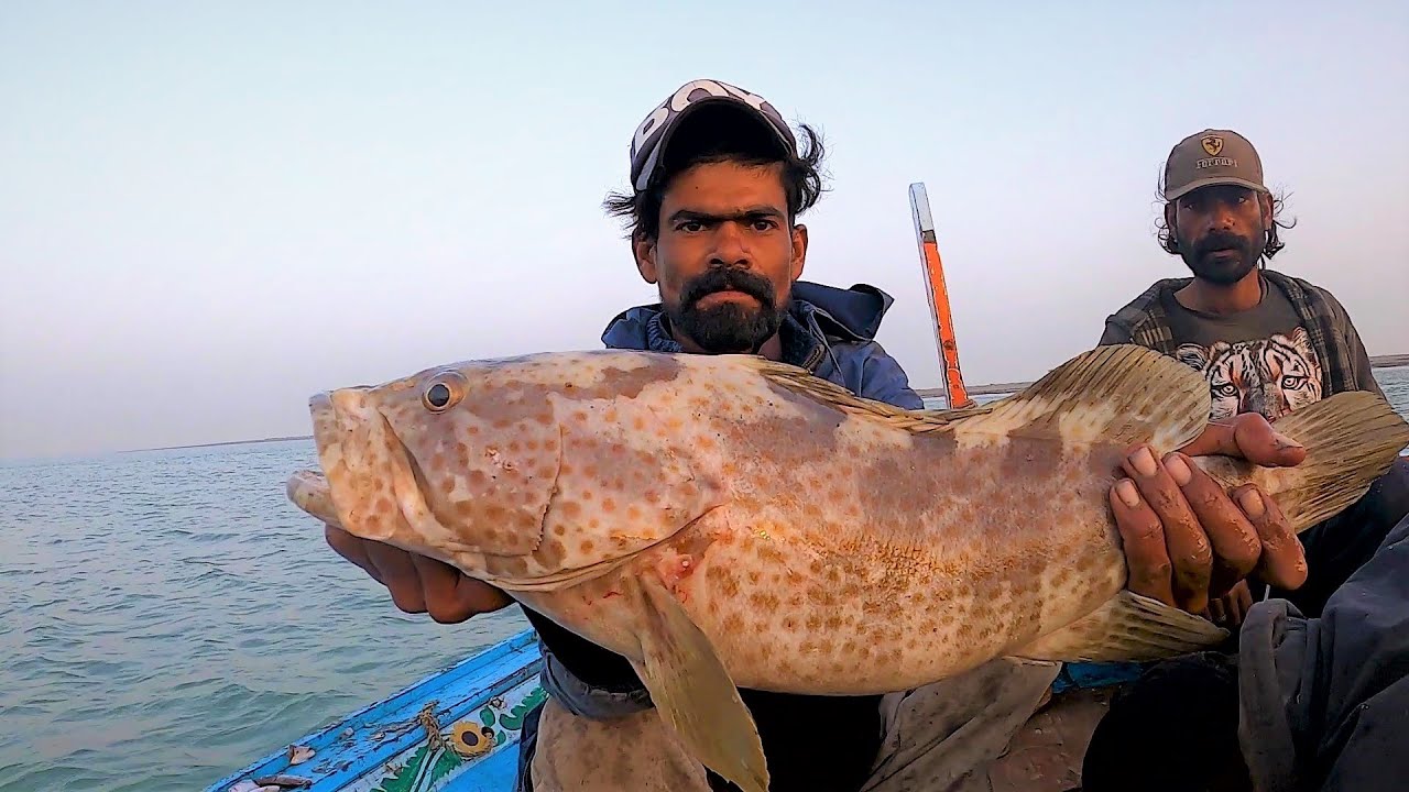 Long Line Fishing In Mangroves From Ibrahim Hedri  Karachi To Dabo Creek.