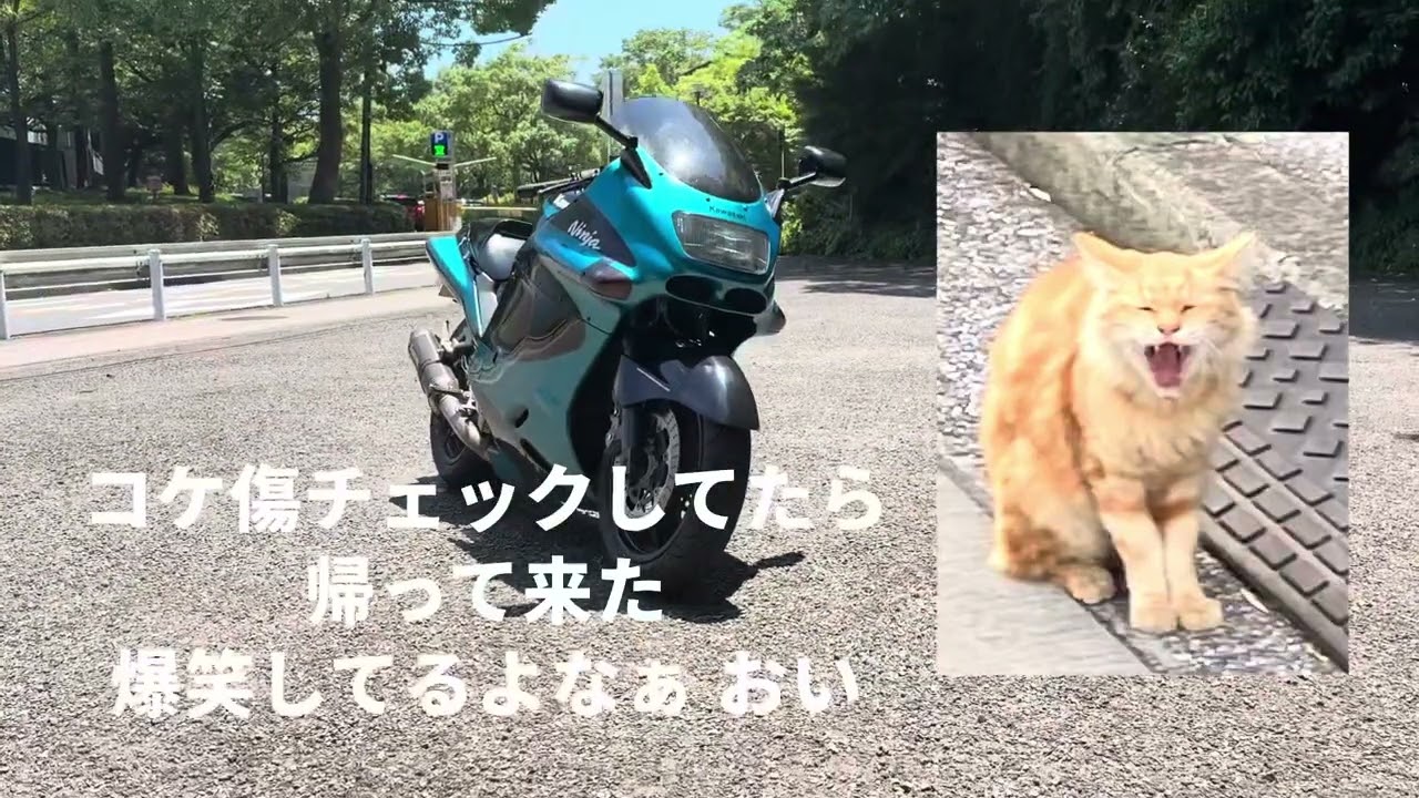 ZZR1100と私 4  アントニオを添えて