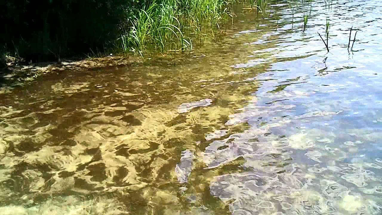 Czyste jeziorko w środku lasu. (Mazury)