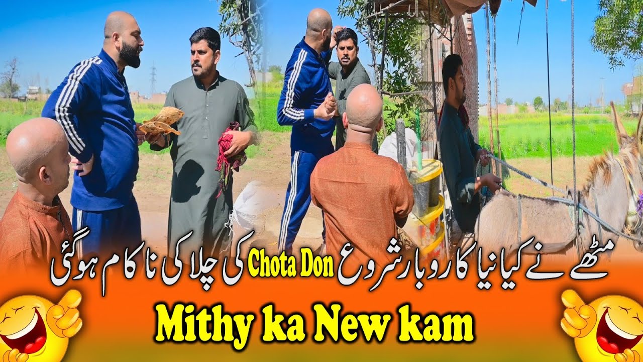 Mithay Ka New Business 💰| Chota Don Ki Chalaki Na-Kam 🤡| Mithay Ka Nuqsan 😬