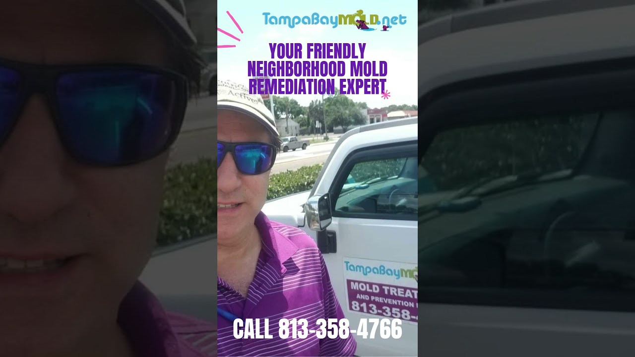 Mold Remediation Removal South Tampa 813-358-4766 TampaBayMold.net #blackmold #home