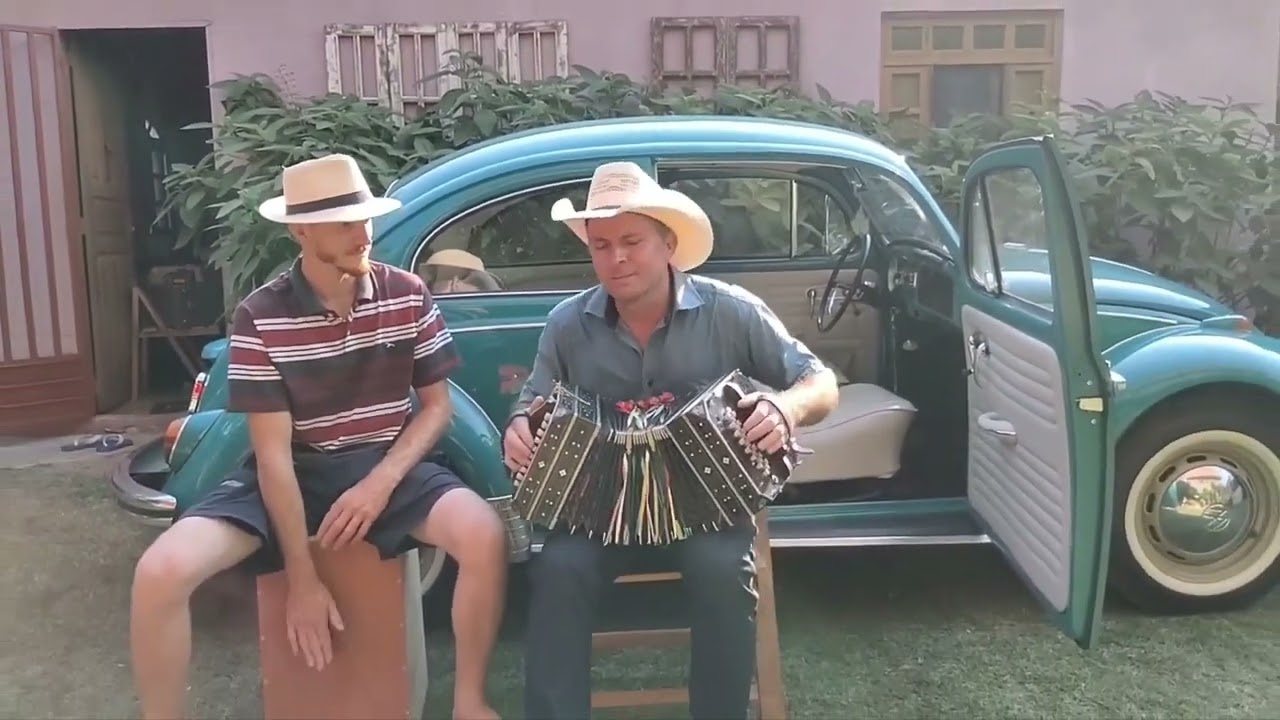 PONATINHO REI DA CONCERTINA = DOMINGOS MARTINS
