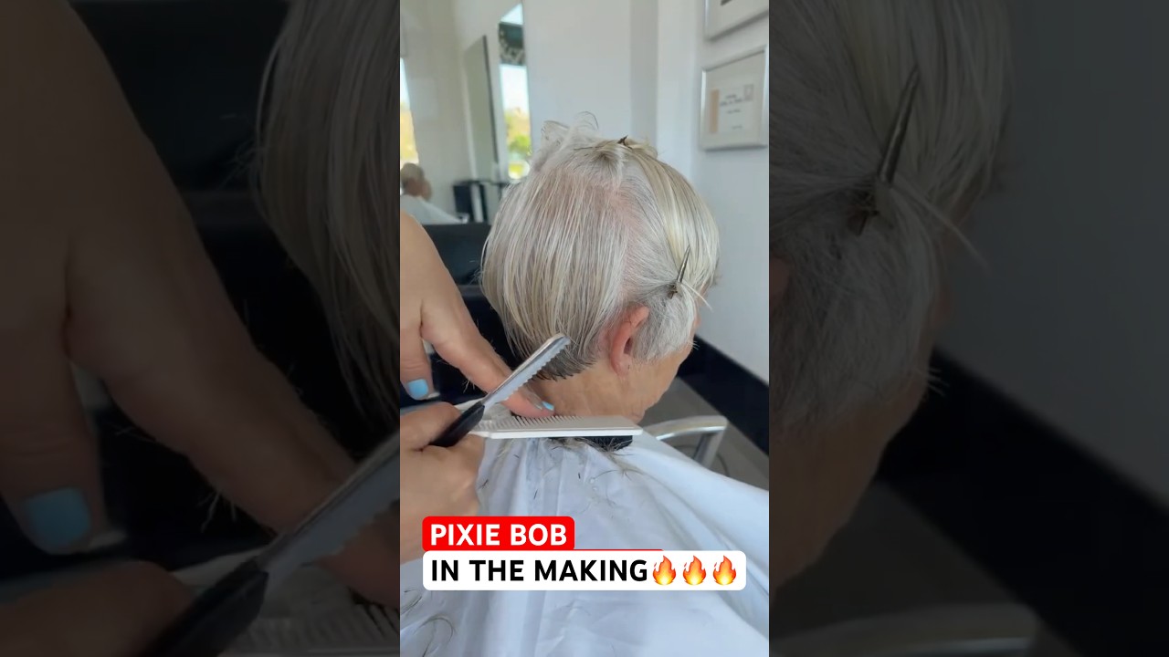 PIXIE BOB IN THE MAKING BY VIVYAN HERMUZ! 🤩✂️🏆✨