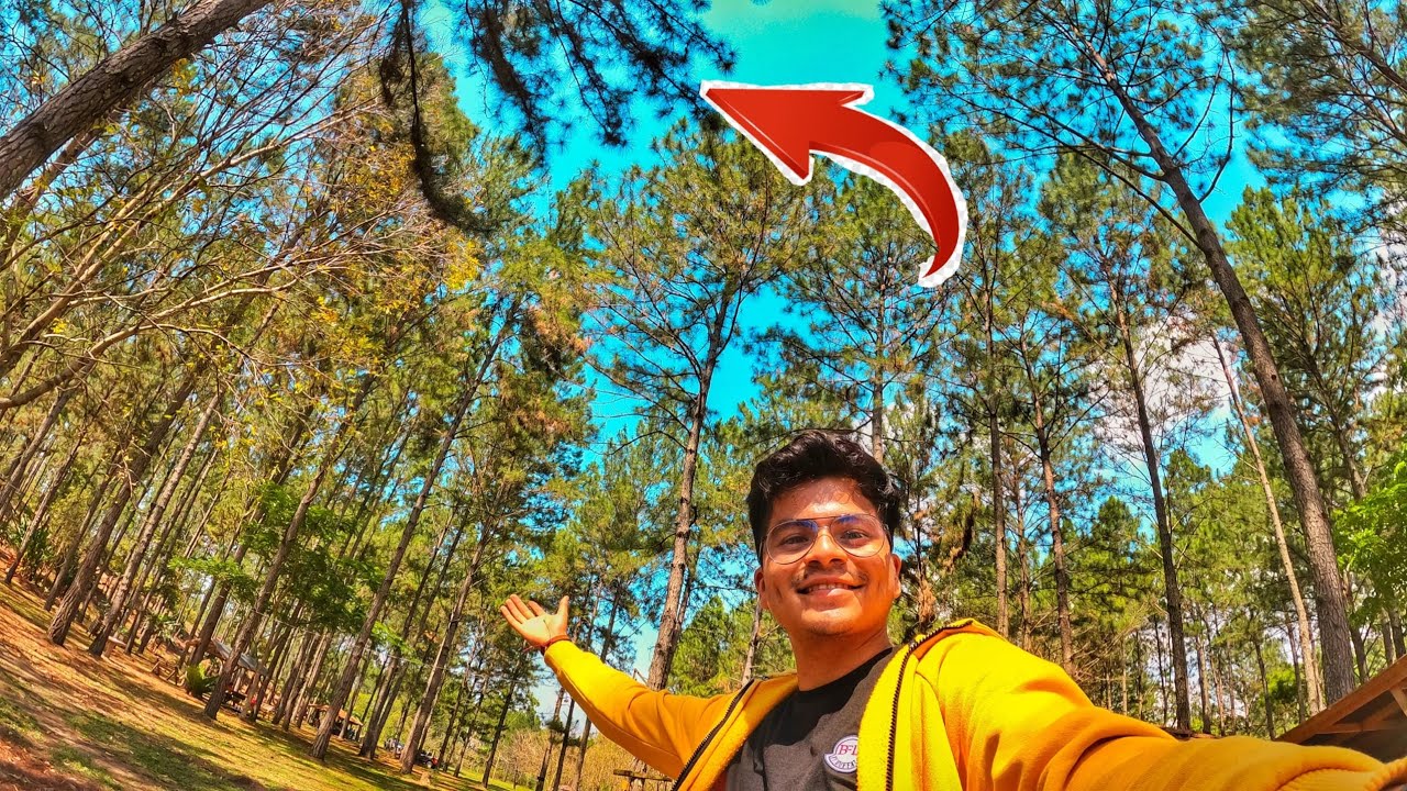 Explorando el Norte de Nicaragua l Bosque de Pinos 🇳🇮🌲  l Chico Reyes Rosas