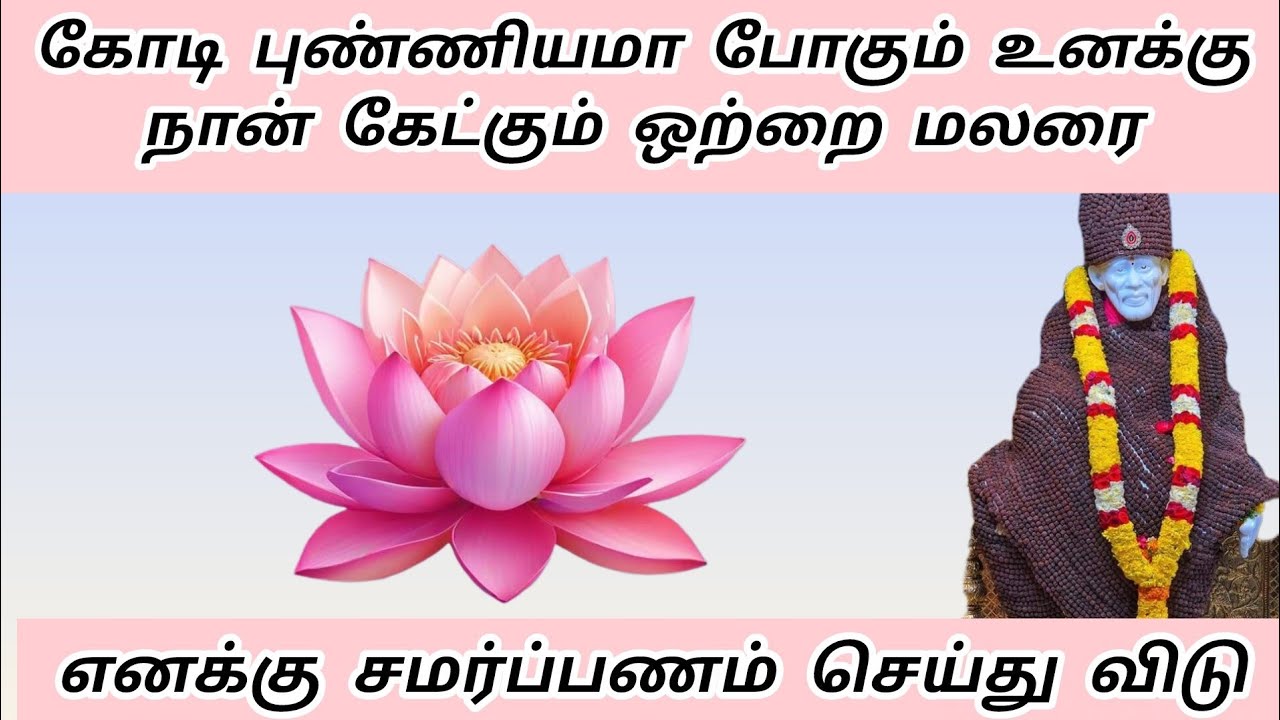கோடி புண்ணியமா போகும் நான் கேட்கும் ஒற்றை மலரை சமர்ப்பணம் செய் #sai #saibaba #baba #motivation