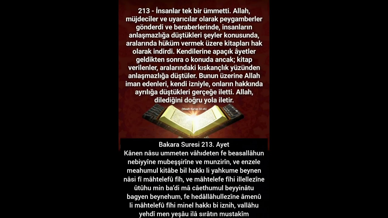 Bakara Suresi 213. Ayet