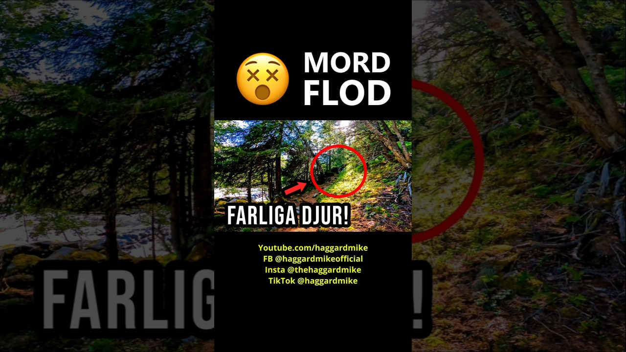 Mitt i naturen