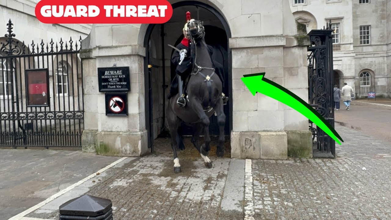 🚨Aggressive Horse Guard Horse Causes Chaos – Had to Be Removed!
