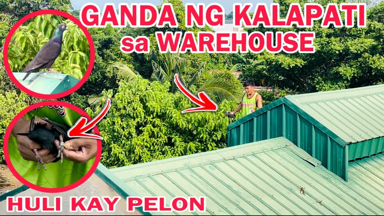 EP708 - TINDE! INAKYAT SA WAREHOUSE AT HINULI NI PELON ANG ITIM NA KALAPATE!
