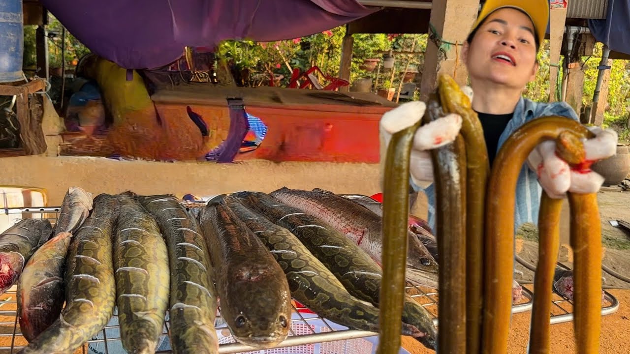NGHE LỜI KHÁN GIẢ NGA SUMO LẦN ĐẦU ĂN CÁ TRÊ NƯỚNG VÀ TRẠCH LẤU CHẮC NỊCH CỦA CHỊ SƯƠNG ĐẠI GIA