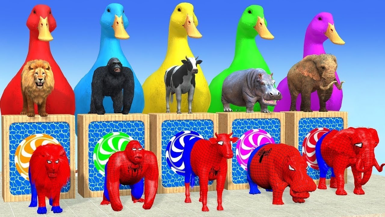 Long Slide Game with Colourful Duck Cow Tiger Gorilla Dog Elephant 3d Animal Game Funny 3d Animals