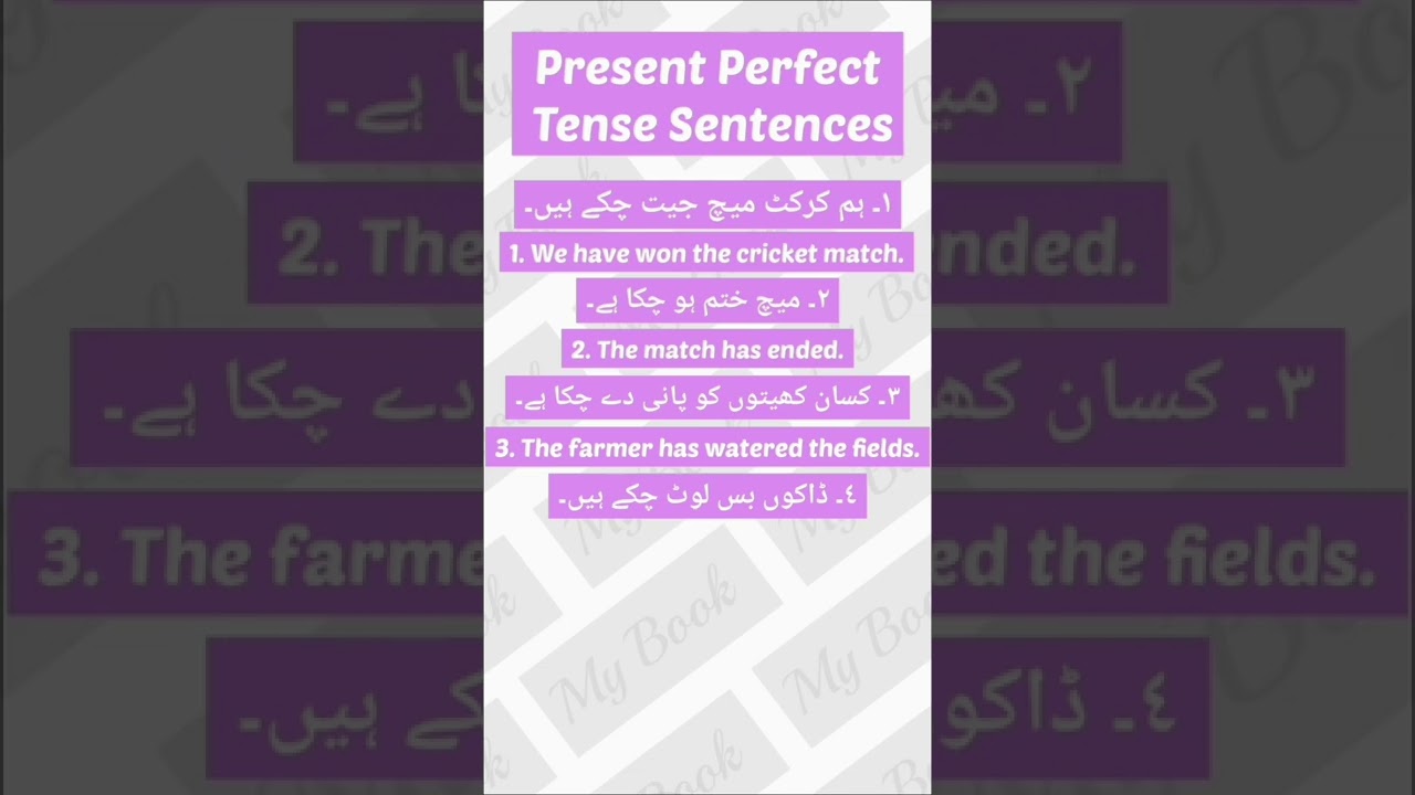Present Perfect Tense Sentences Urdu To English Translation Daily Use English Short Video By My Book